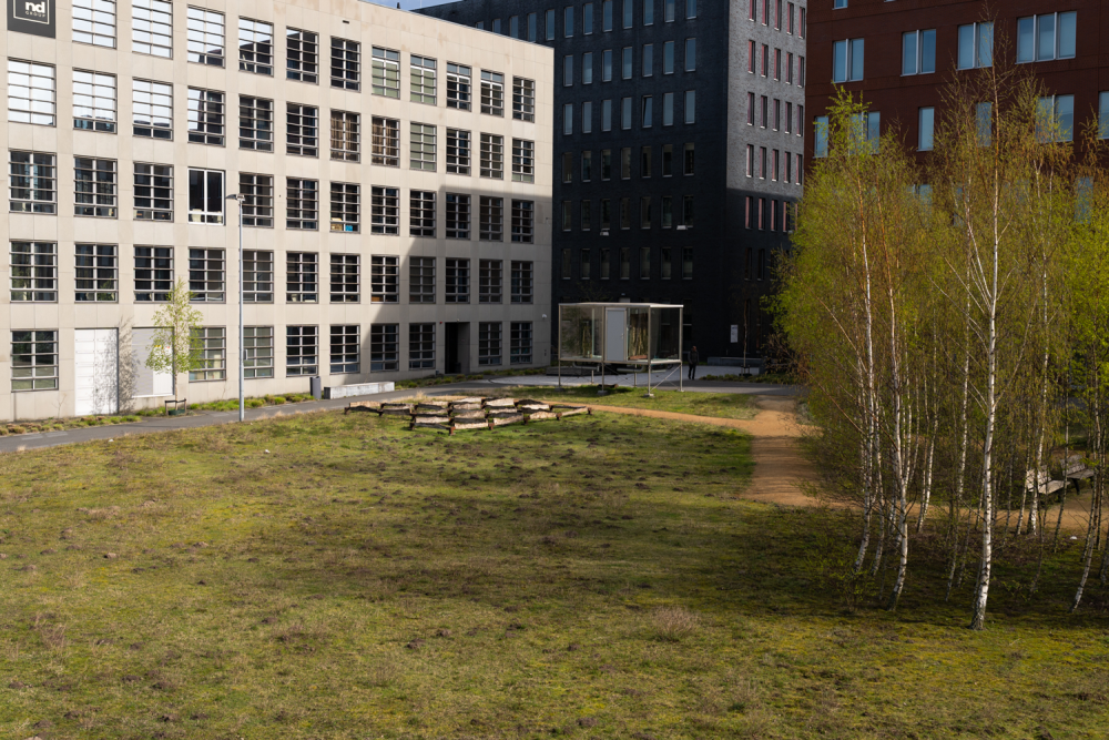 RALPH_ROELSE_2026_04_06_FLIGHT_FORUM_RUBY_SOHO_GALLERY_Art_Cubes_Art_Van_Triest_Eindhoven_NL_009